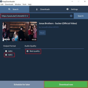 Best YouTube Video Converter - snapdownloader
