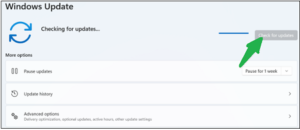 How To Update DirectX On Windows 11 - pic5