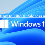 How to Find IP Address on Windows 11