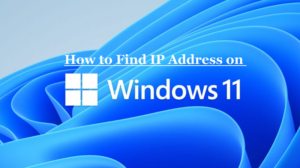 How to Find IP Address on Windows 11