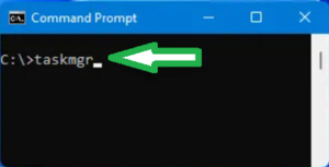 How to Launch Task Manager in Windows 11 - pic4