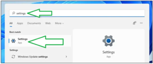 How to Turn Off Transparency in Windows 11 - pic1