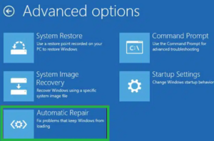 No Boot Disk Has Been Detected Or The Disk Has Failed Error - pic8