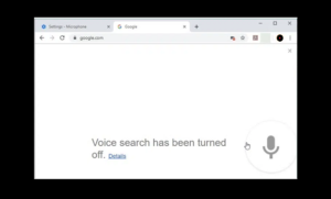 Fix Google Voice Search Not Working Issue
