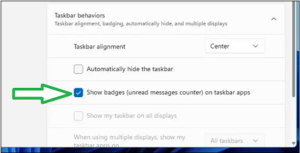 How To Turn Off Icon Notifications Badges In Windows 11 - pic4