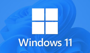 How to Turn Off Animations in Windows 11