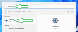 How to Turn Off Animations in Windows 11 - pic1