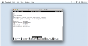 How To Edit Hosts File on MacOS - pic5